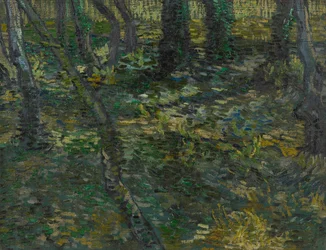 Unterholz